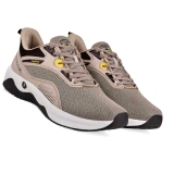 CU00 Campus Under 2500 Shoes sports shoes offer