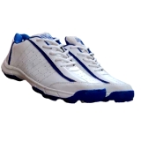 WS06 White Cricket Shoes footwear price