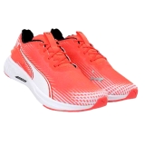 PF013 Puma Maroon Shoes shoes for mens