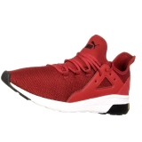 PG018 Puma Red Shoes jogging shoes