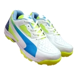 W050 White Cricket Shoes pt sports shoes