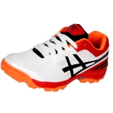 ZY011 Zigaro Cricket Shoes shoes at lower price