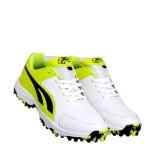 YI09 Yellow Cricket Shoes sports shoes price